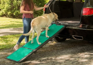 6 Best Dog Ramps for SUVs, Trucks & Cars in 2026 - Reviews & Top Picks