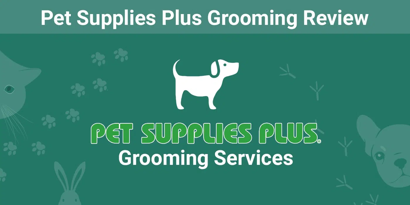 Pet Supplies Plus Grooming Review 2026: Services, Prices, User Ratings and FAQ