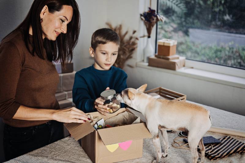 15 Best Budget-Friendly Dog Subscription Boxes in 2026 - Reviews & Top Picks