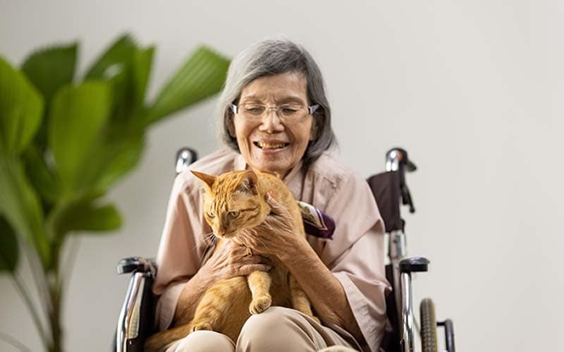 Can Pets Help People With Dementia or Alzheimer's? Vet-Verified Facts