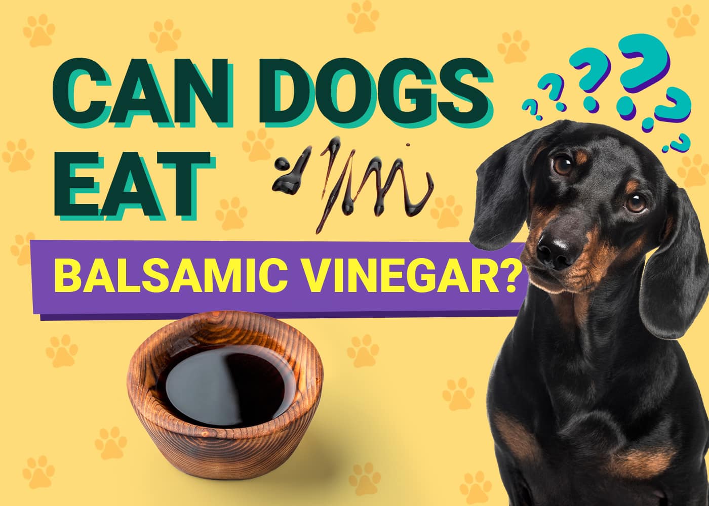 Can Dogs Have Balsamic Vinegar? Vet-Reviewed Facts You Should Know!