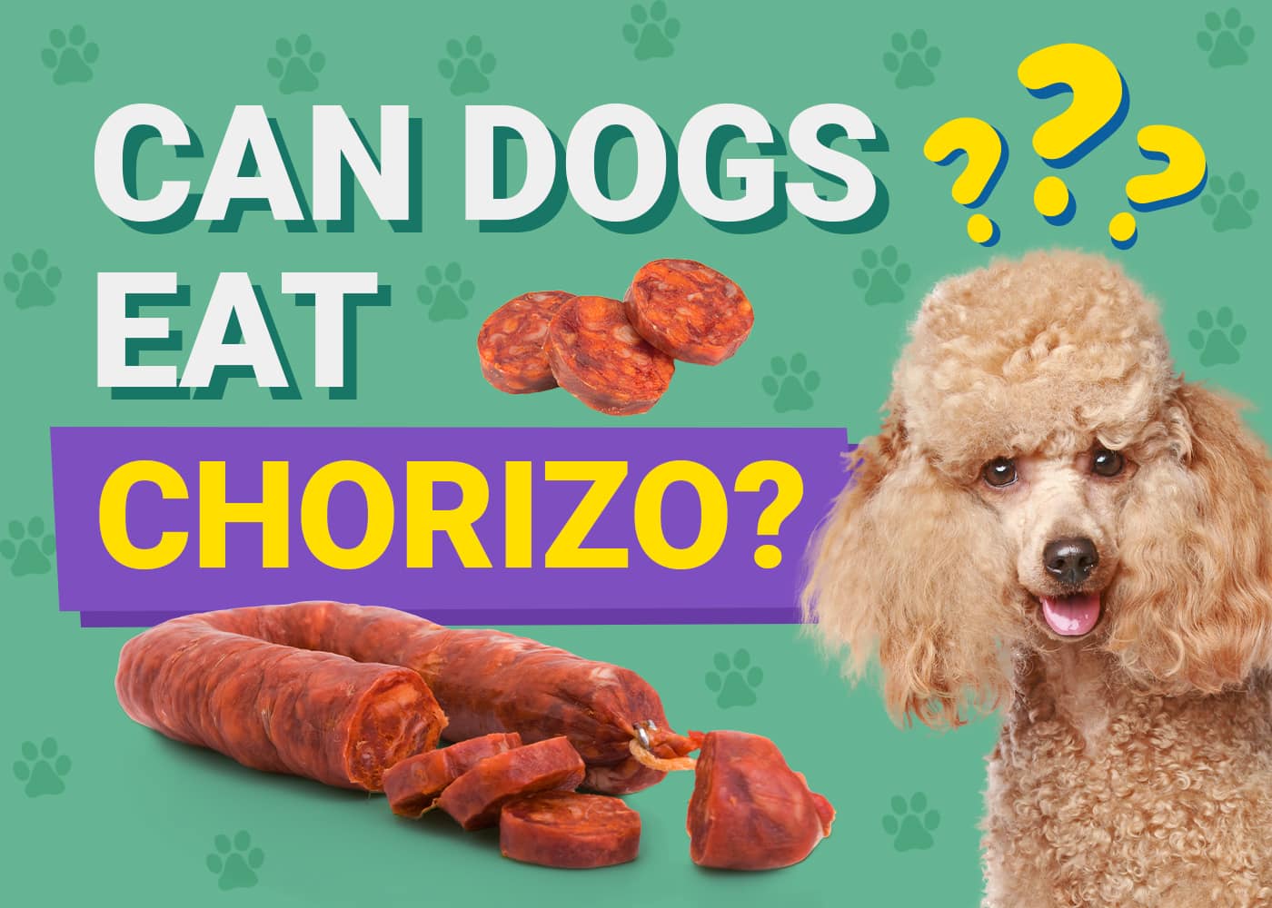 Can Dogs Eat Chorizo? Vet Approved Nutrition Facts & Risks