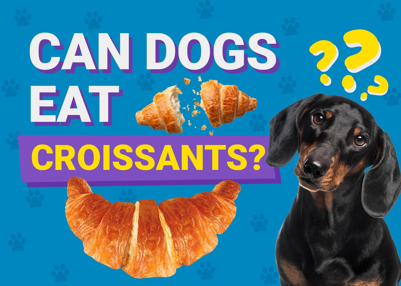 Can Dogs Eat Croissants? Vet-Verified Nutrition Facts & Alternatives