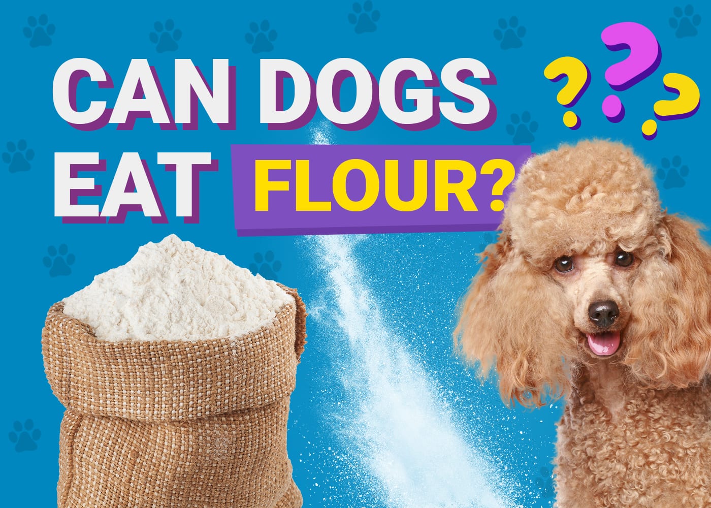 Can Dogs Eat Flour? Vet-Verified Health & Nutrition Info