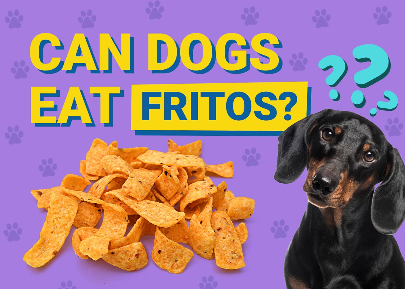 Can Dogs Eat Fritos? Vet-Reviewed Facts & FAQ