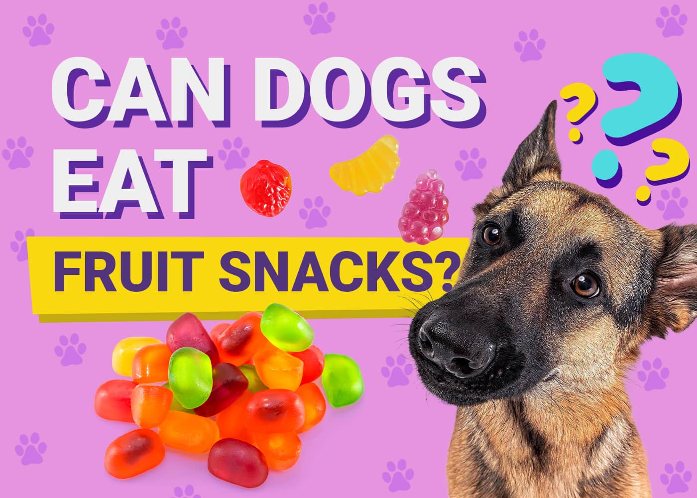 Can Dogs Eat Fruit Snacks? Vet-Verified Nutrition Info & Risks