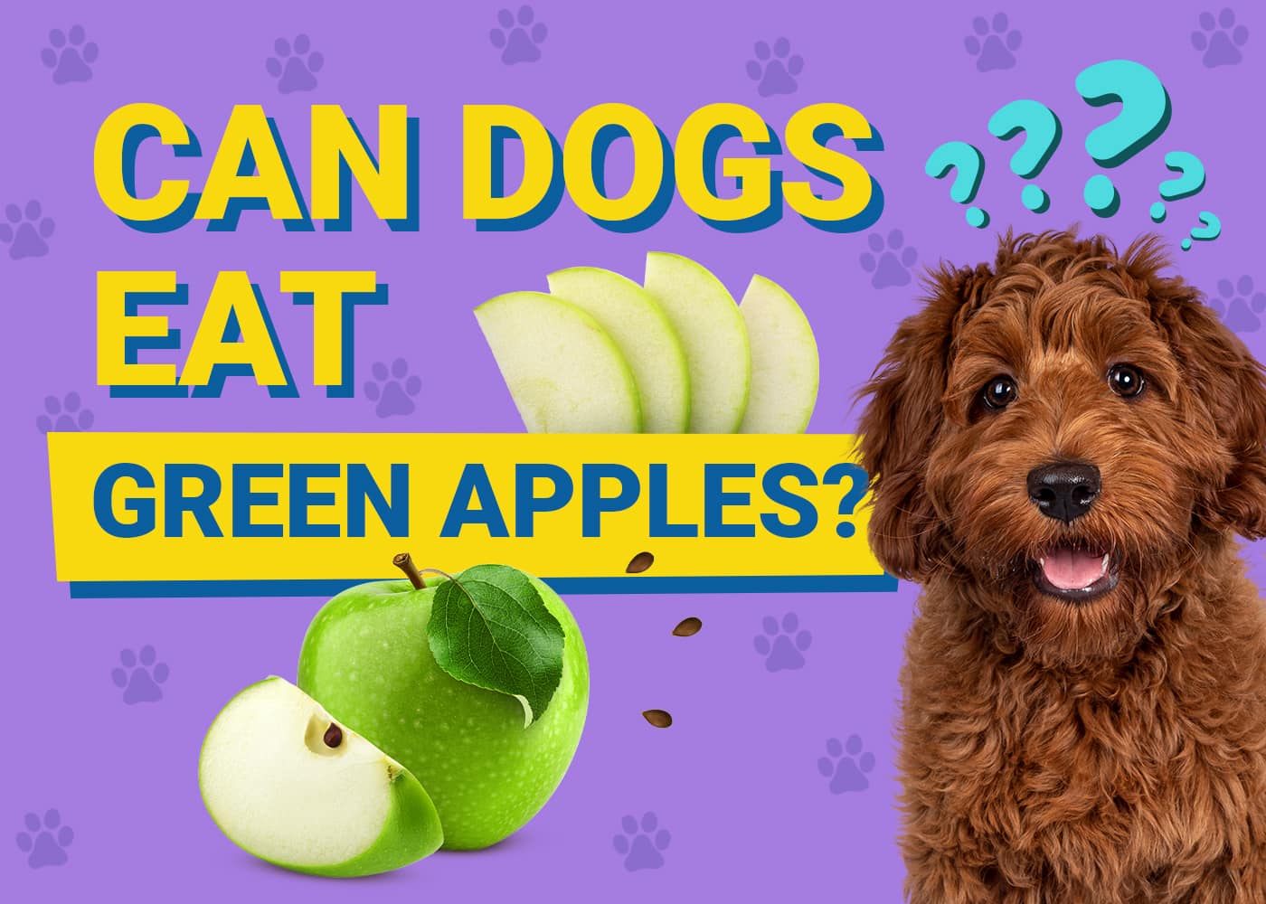 Can Dogs Eat Green Apples? Vet-Approved Facts!