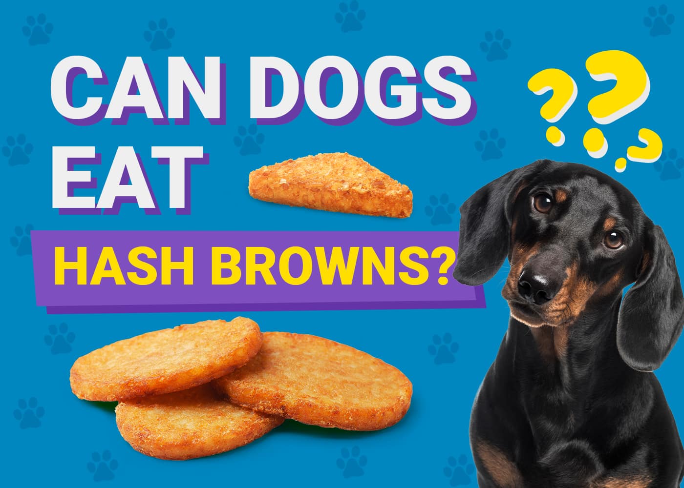 Can Dogs Eat Hash Browns? Vet-Verified Facts, Risks & Diet Tips