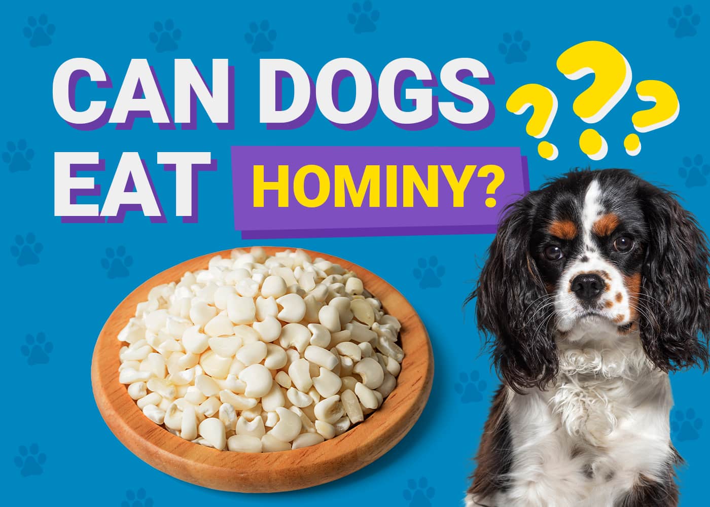 Can Dogs Eat Hominy? Vet-Verified Facts & FAQ