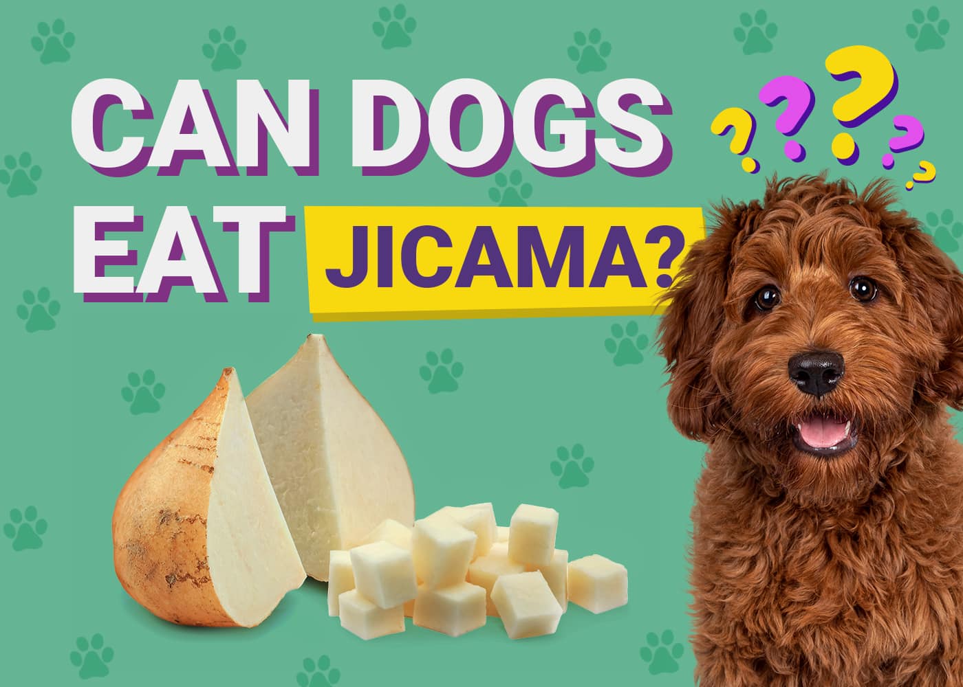 Can Dogs Eat Jicama? Vet-Verified Facts