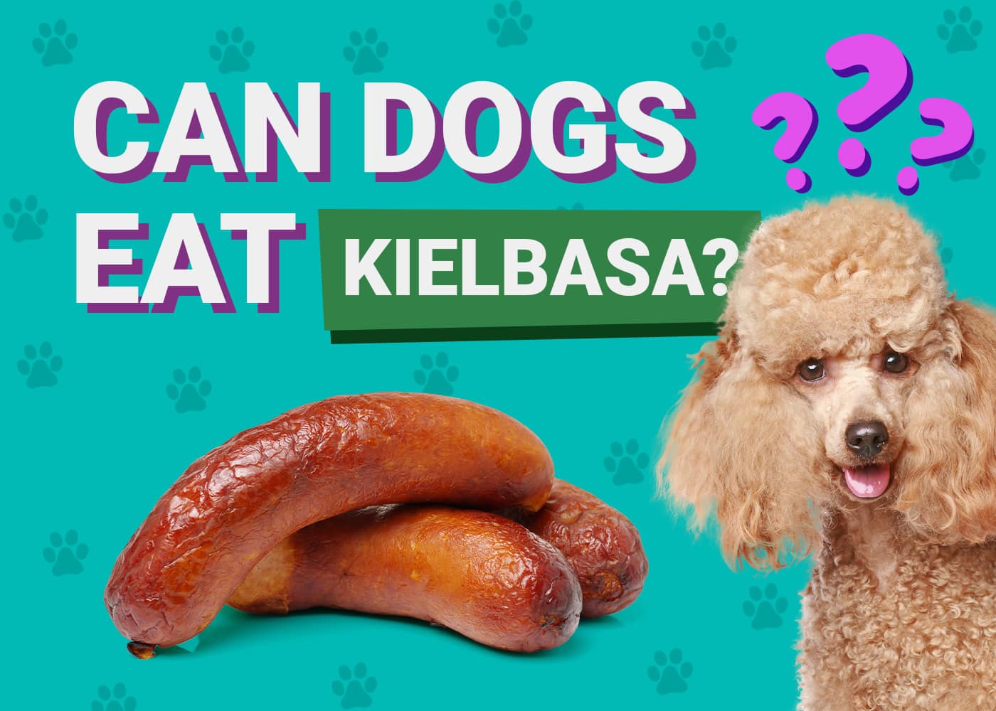 Can Dogs Eat Kielbasa? Vet Reviewed Facts & FAQ