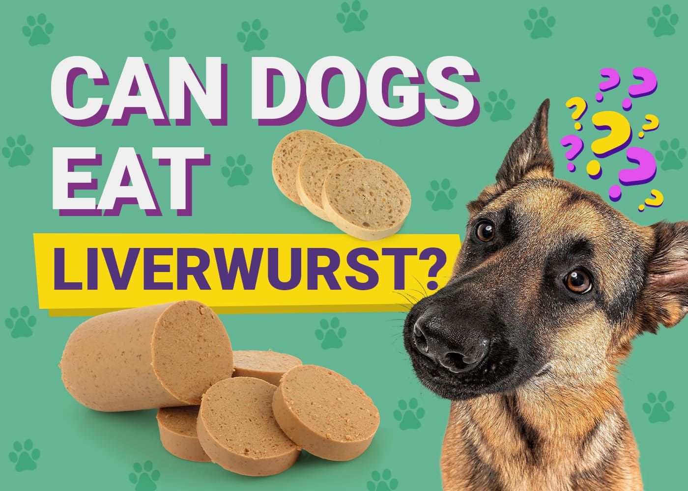Can Dogs Eat Liverwurst? Vet-Verified Nutrition Facts & Risks
