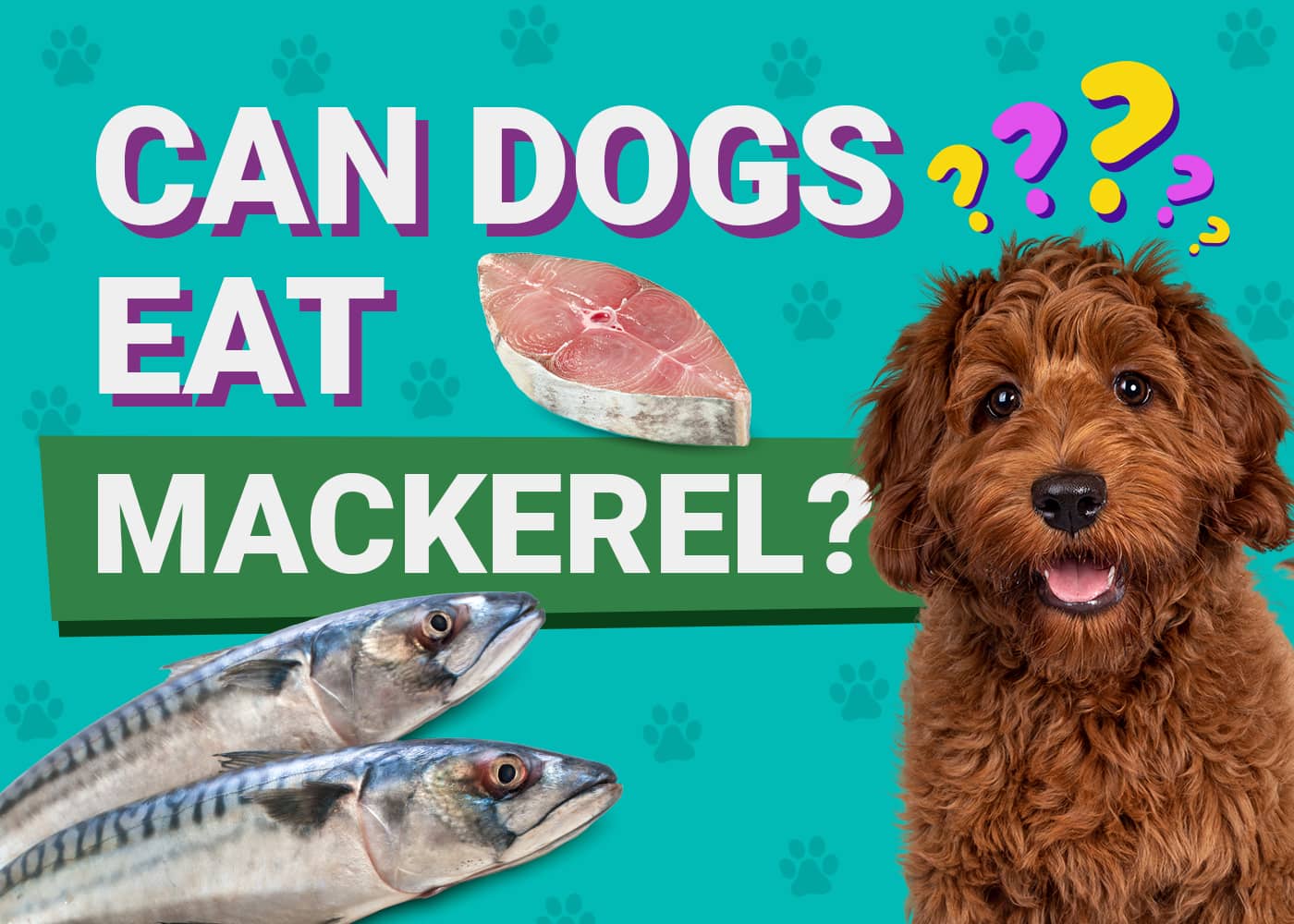 Can Dogs Eat Mackerel? Vet-Verified Nutrition Facts