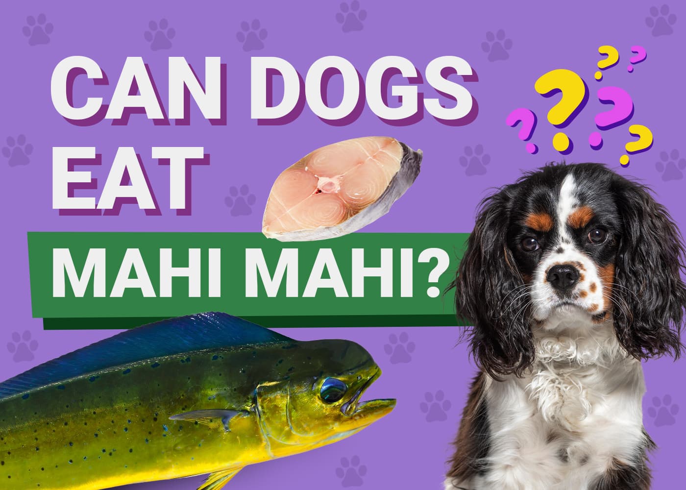 Can Dogs Eat Mahi Mahi? Vet-Reviewed Facts