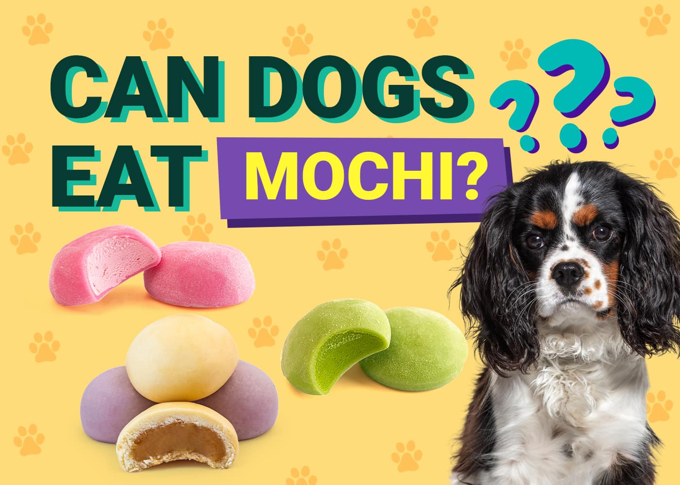 Can Dogs Eat Mochi? Vet-Verified Nutrition Facts & Risks