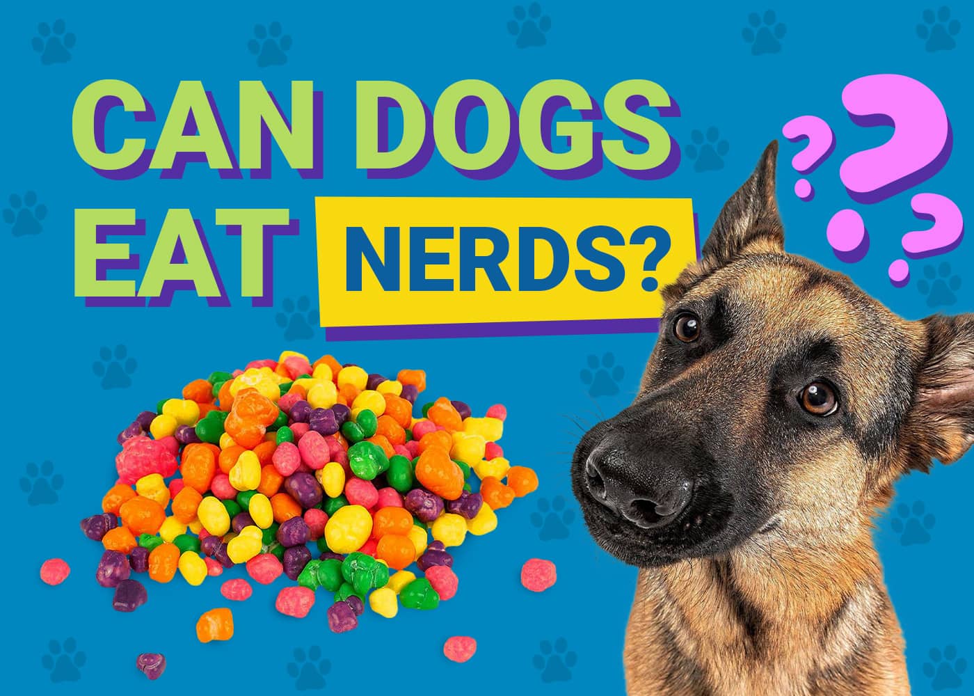Can Dogs Eat Nerds? Vet Reviewed Nutrition Facts