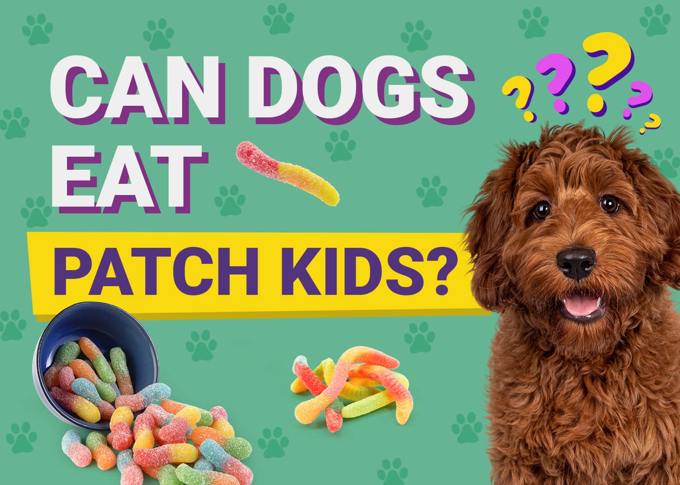 Can Dogs Eat Sour Patch Kids? Keep Your Dog Healthy!