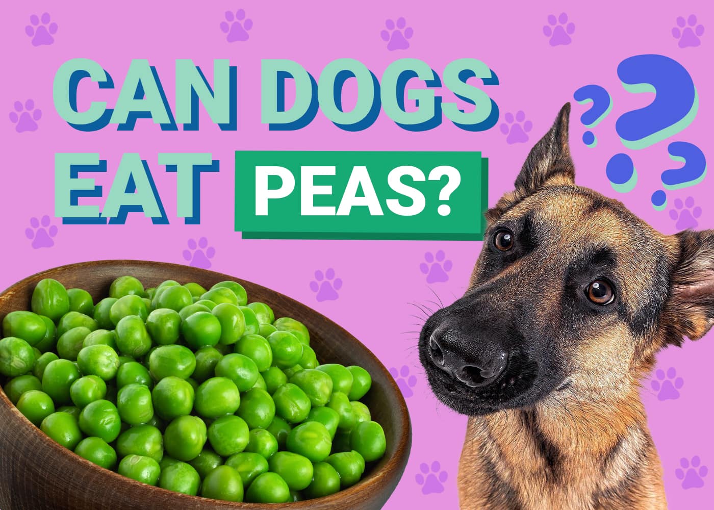 Can Dogs Eat Peas? Our Vet Answers Nutrition Info