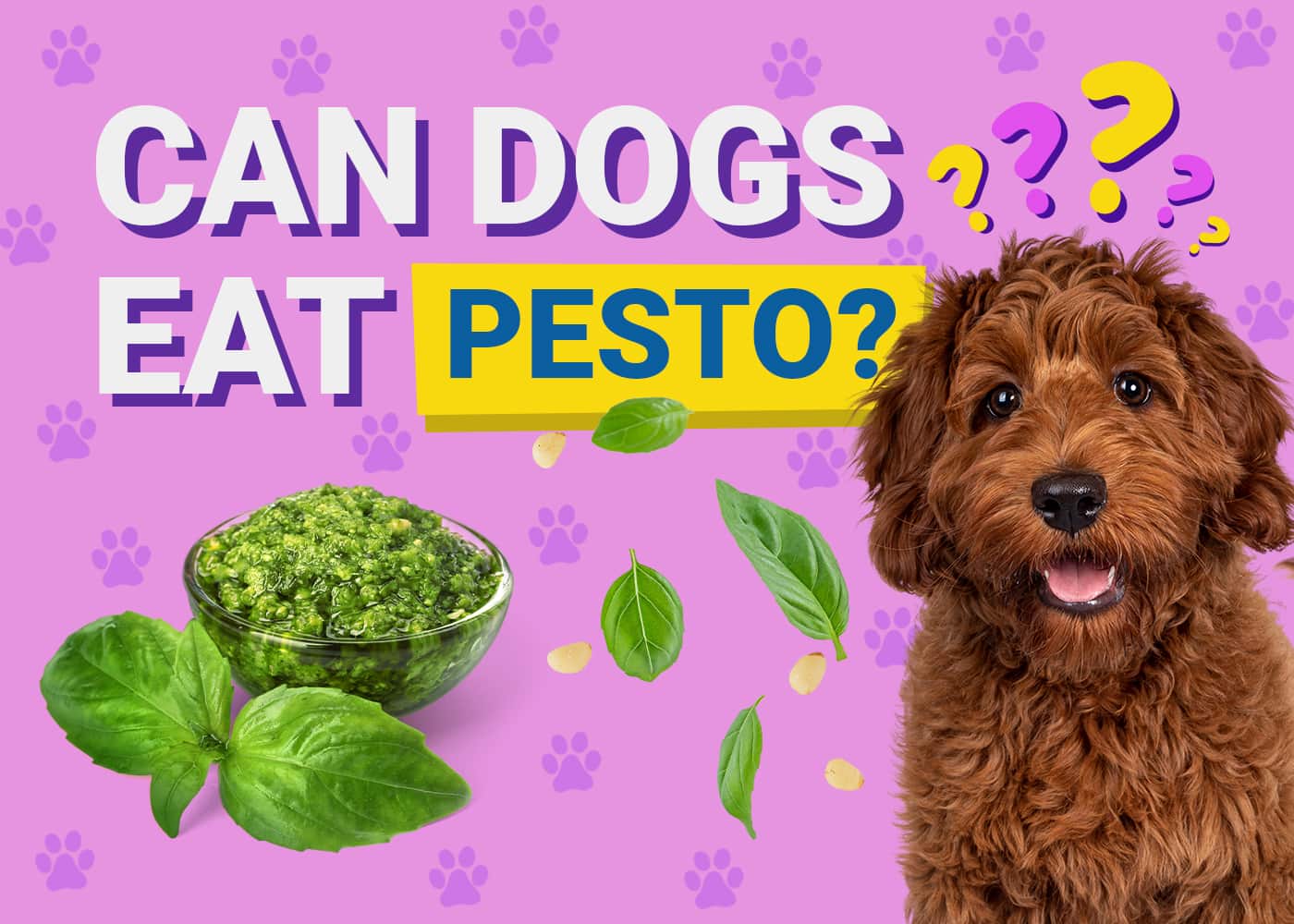 Can Dogs Eat Pesto? Vet Approved Facts & Safety