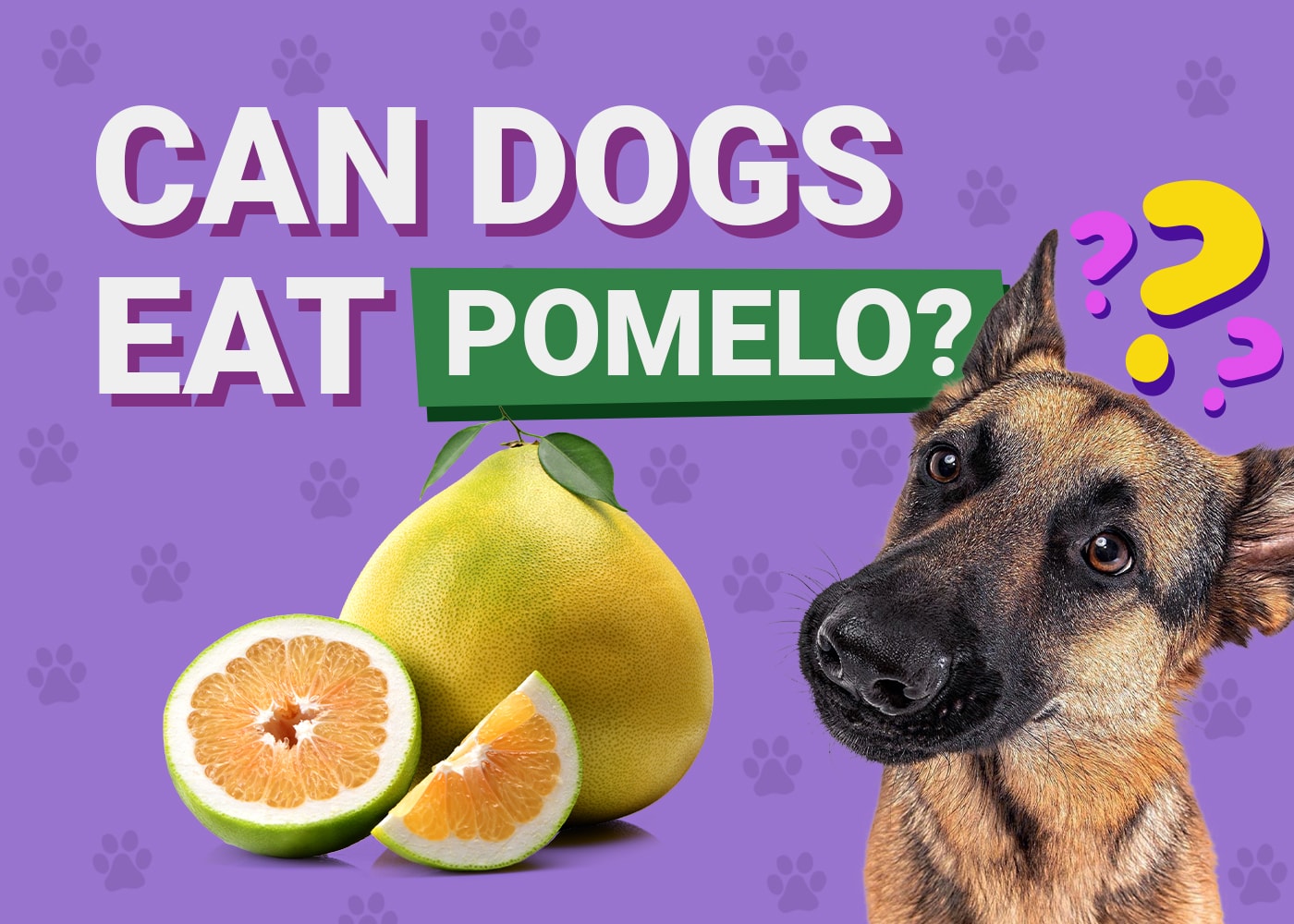 Can Dogs Eat Pomelo? Vet-Reviewed Benefits & Risks
