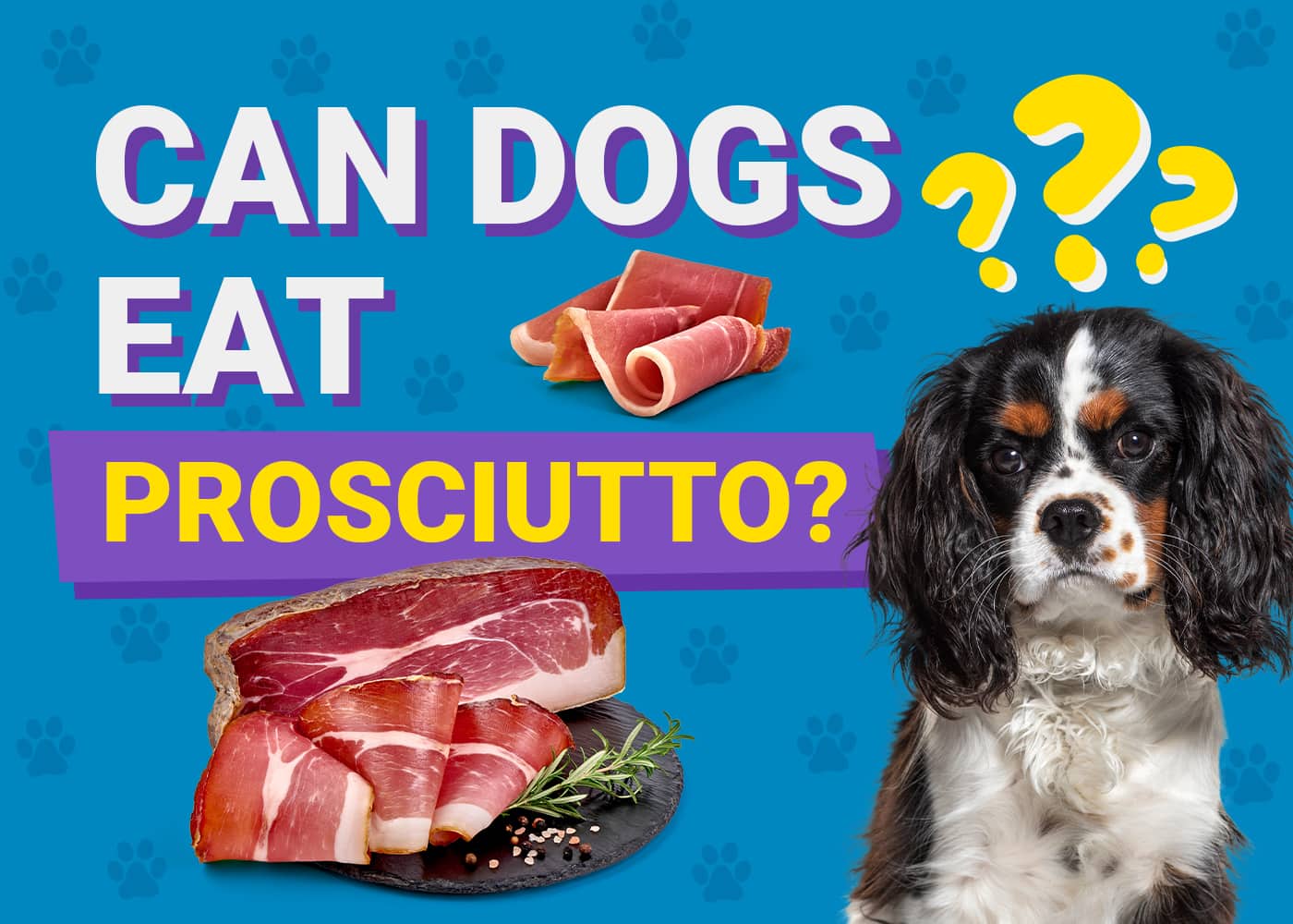 Can Dogs Eat Prosciutto? Vet-Approved Facts