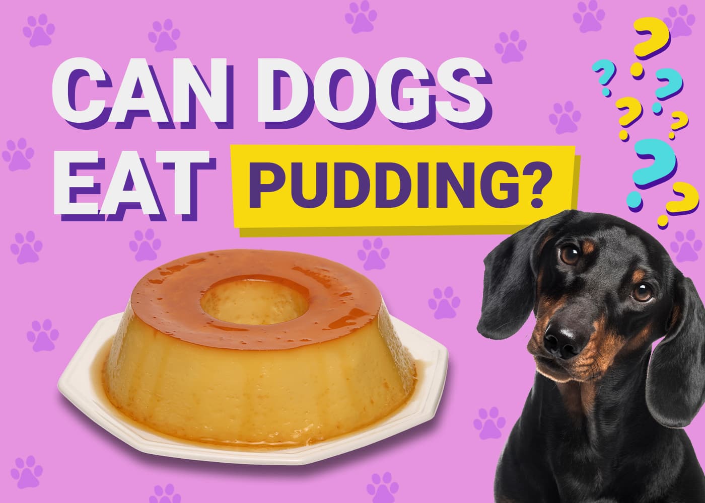 Can Dogs Eat Pudding? Vet-Reviewed Facts & FAQ