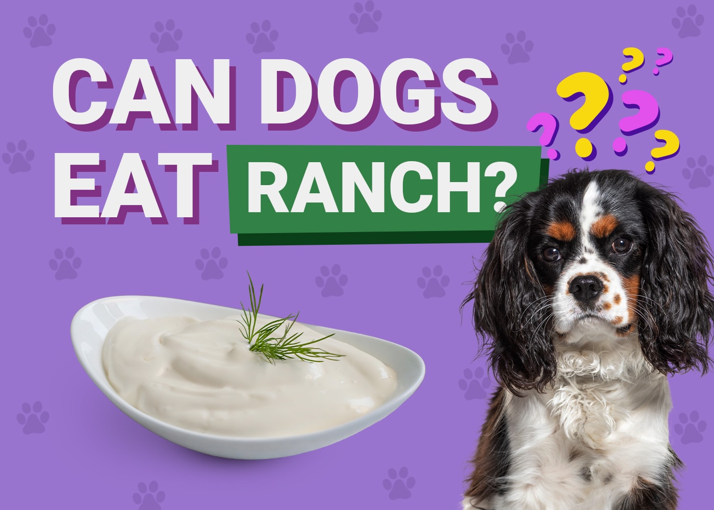 can dogs have ranch dressing Can Dogs Eat Ranch? Hidden Ingredients That Can Harm Your Pet!