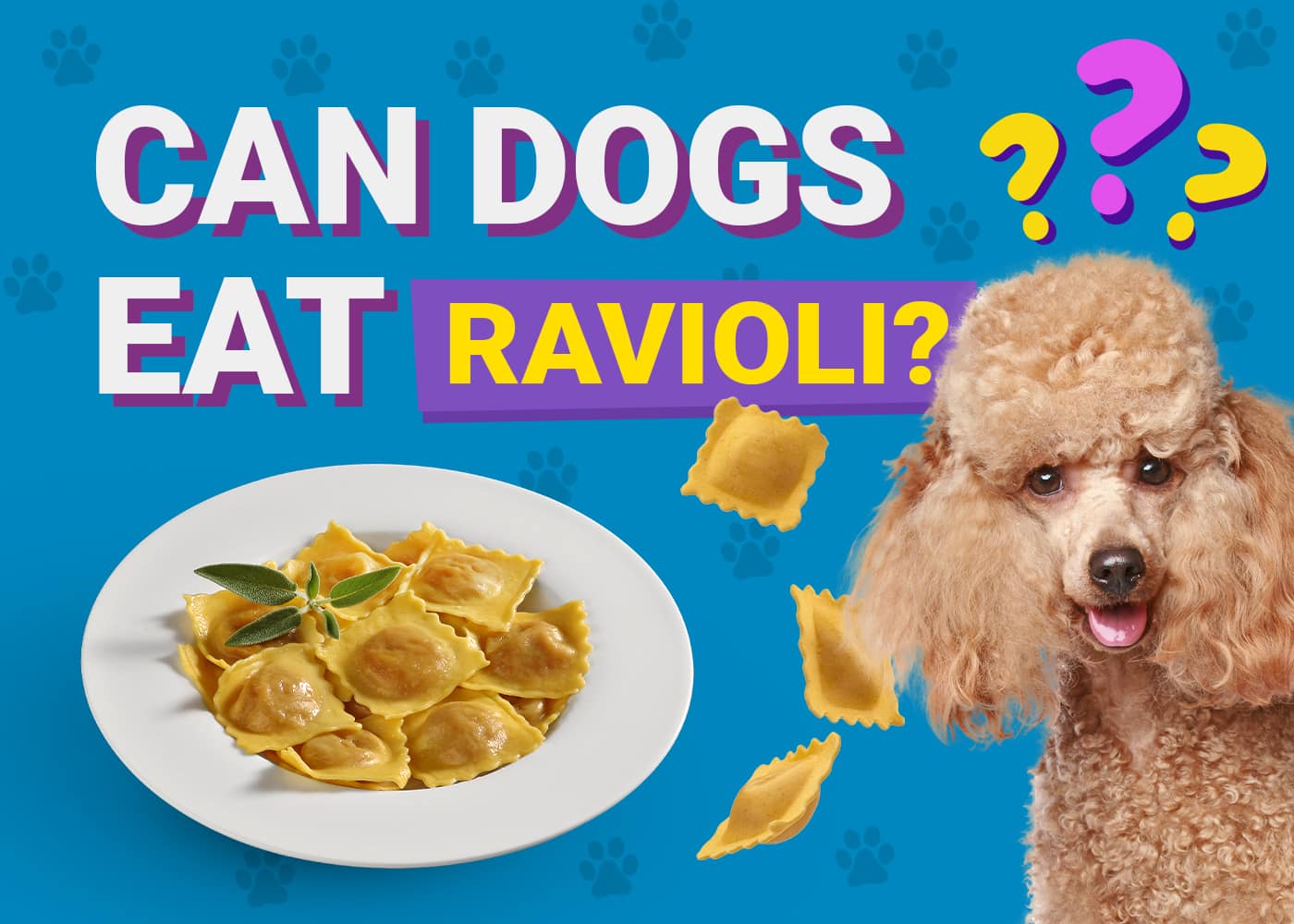Can Dogs Eat Ravioli? Vet-Verified Facts & Safety Guide