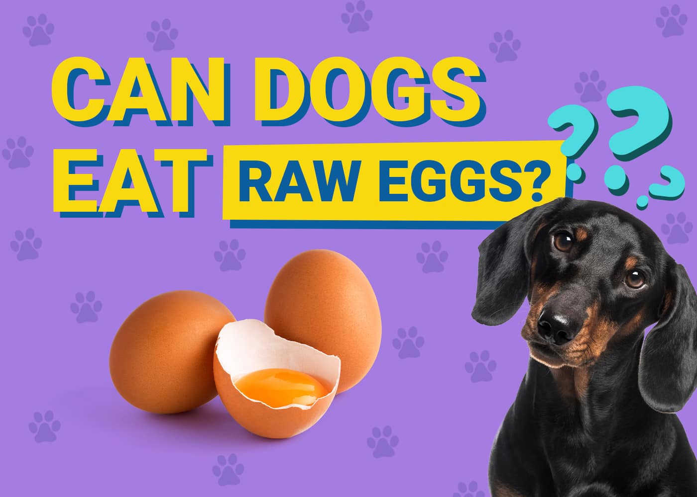 Can Dogs Eat Raw Eggs? Vet-Verified Benefits, Risks & Safety