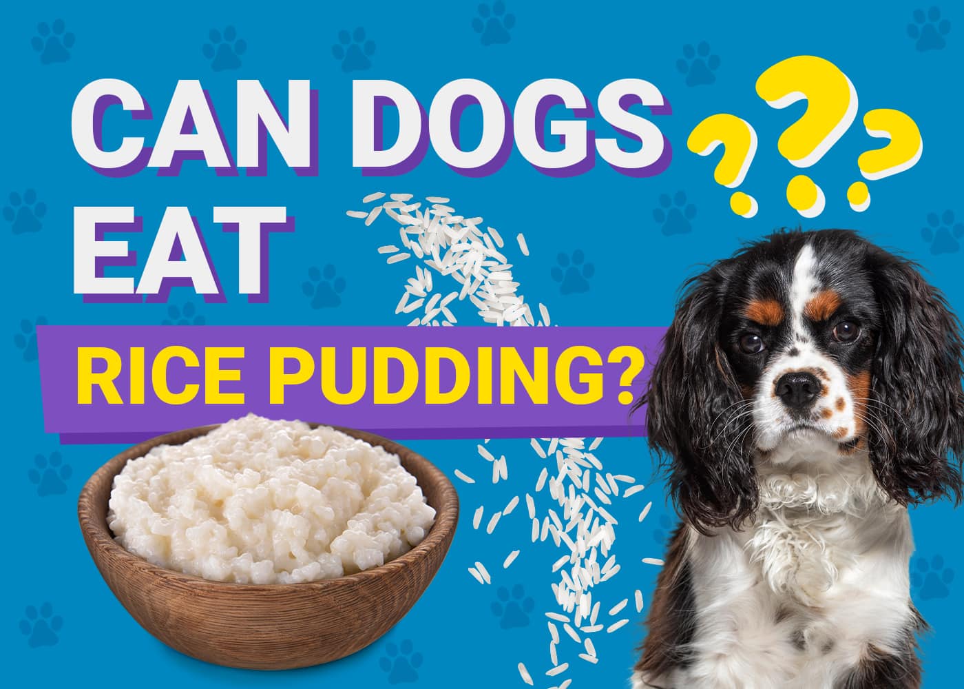 Can Dogs Eat Rice Pudding? Vet-Approved Facts & FAQ
