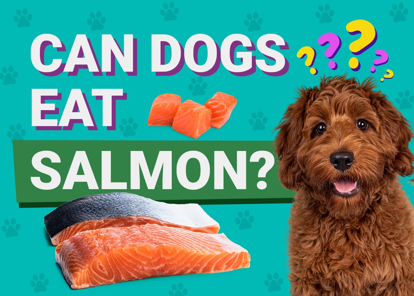 Can Dogs Eat Raw Salmon? Vet-Verified Nutrition Facts & Advice