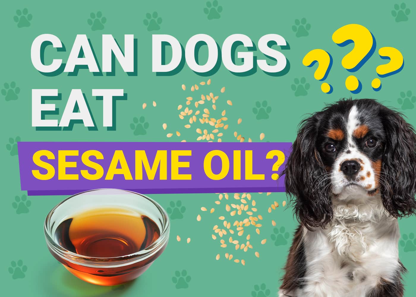Can Dogs Eat Sesame Oil? Vet Reviewed Facts & FAQ