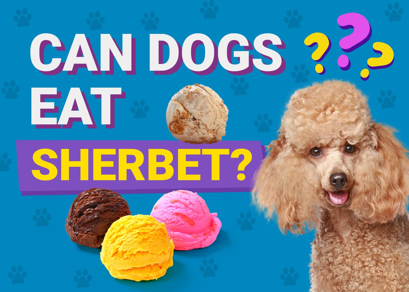 Can Dogs Eat Sherbet? Vet-Reviewed Health & Safety Guide