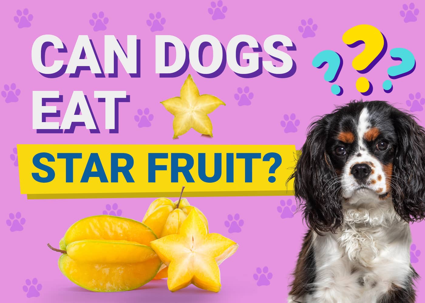 Can Dogs Eat Star Fruit? Vet-Verified Info & Risks