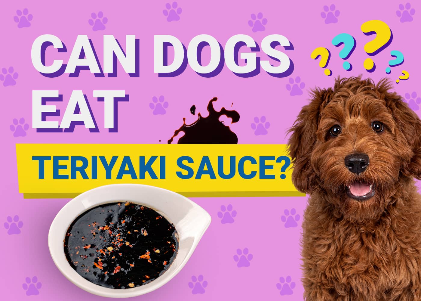 Can Dogs Eat Teriyaki Sauce? Vet Reviewed Nutrition Facts & FAQ