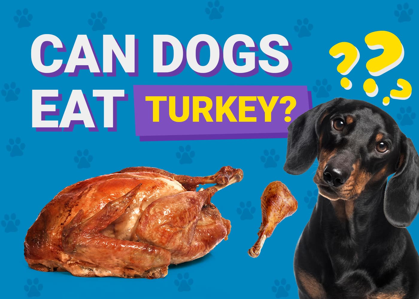 Can Dogs Eat Turkey? Vet-Verified Nutrition Facts & FAQ