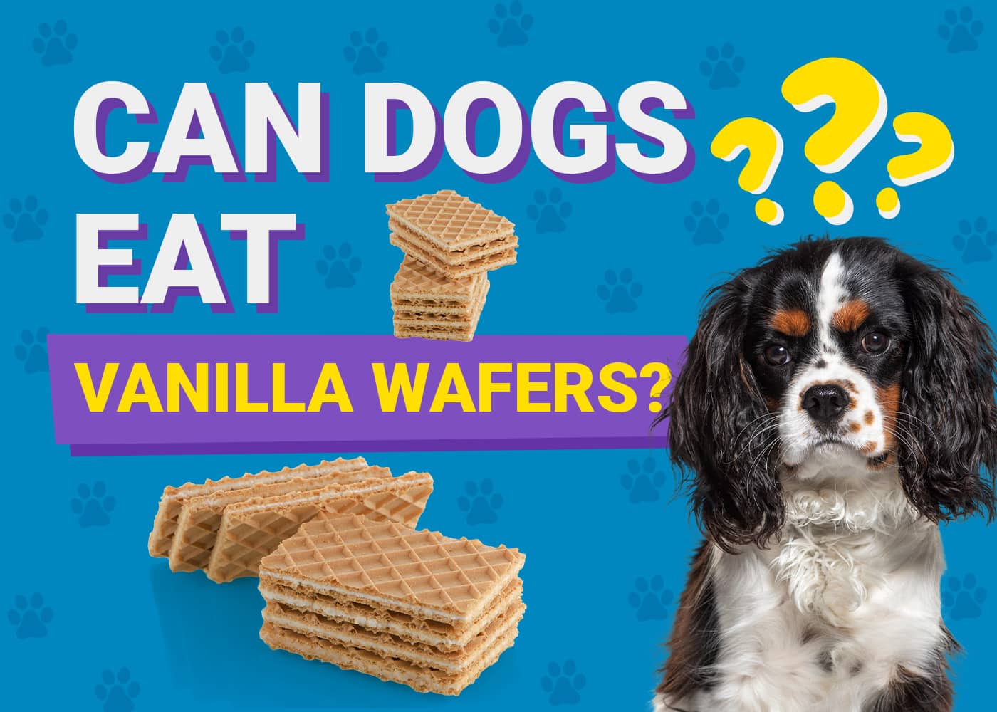 Can Dogs Eat Vanilla Wafers? Vet-Reviewed Facts & FAQ