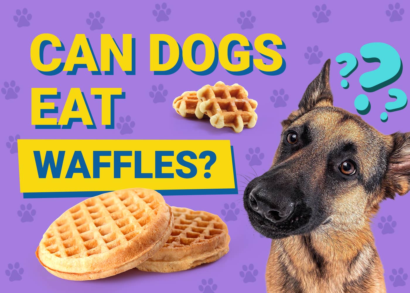 Can Dogs Eat Waffles? Vet-Verified Nutrition Facts & Risks