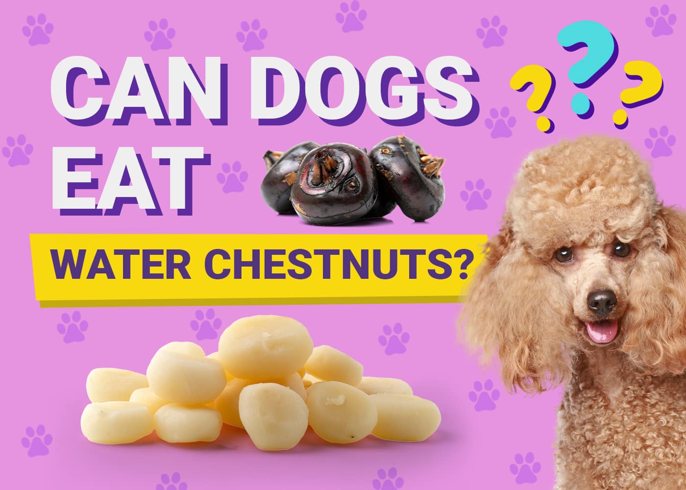 Can Dogs Eat Water Chestnuts? Vet-Verified Facts