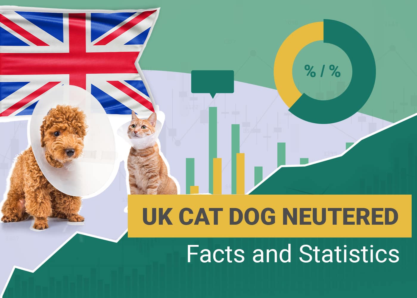 How Many Dogs and Cats Are Neutered in the UK? 2026 Statistics