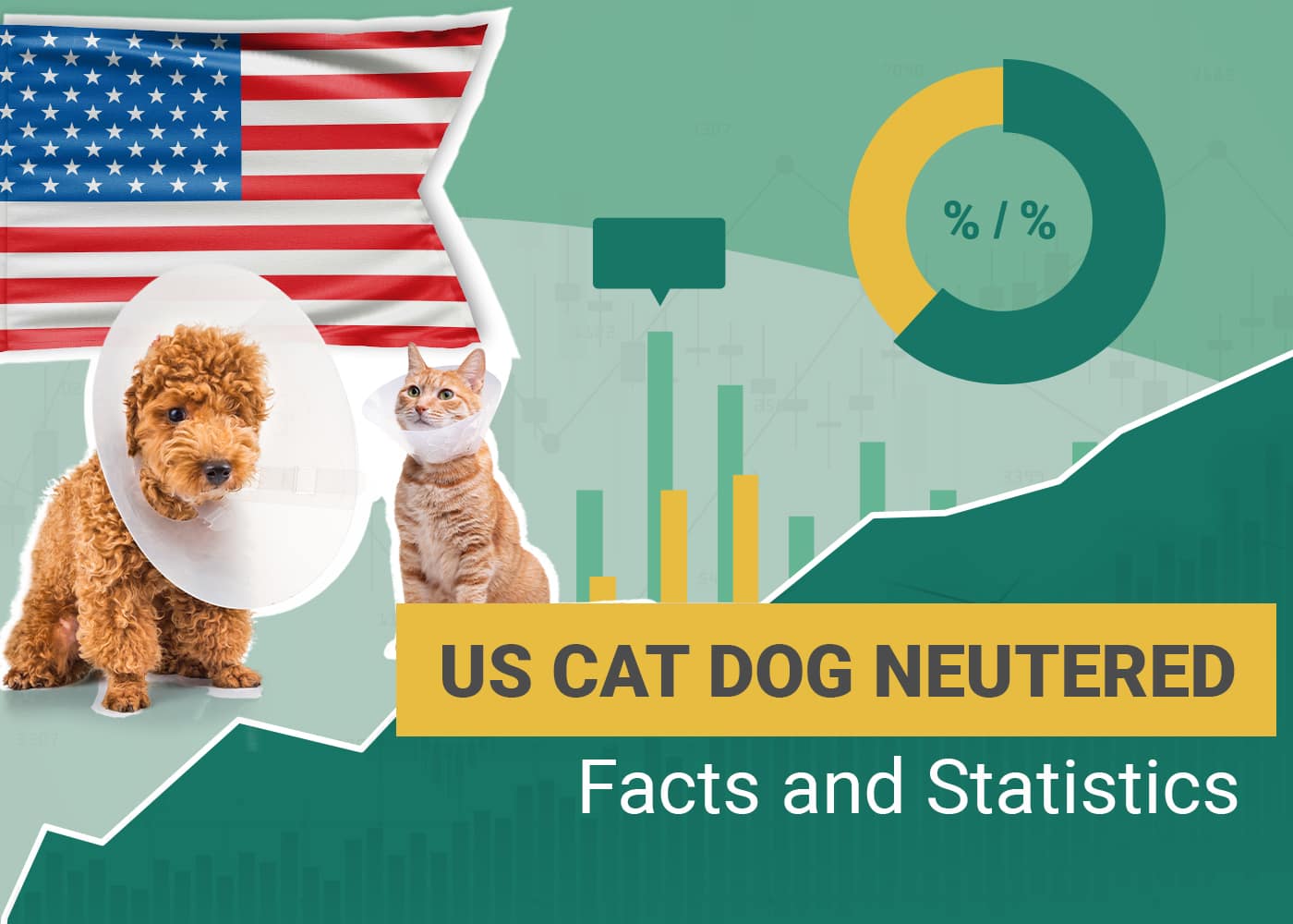 How Many Dogs and Cats Are Neutered in the US? 2026 Update