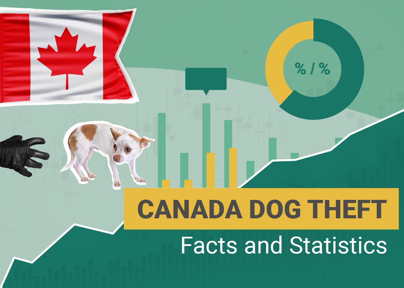 5 Disheartening Dognapping & Dog Theft Statistics in Canada: 2026 Update