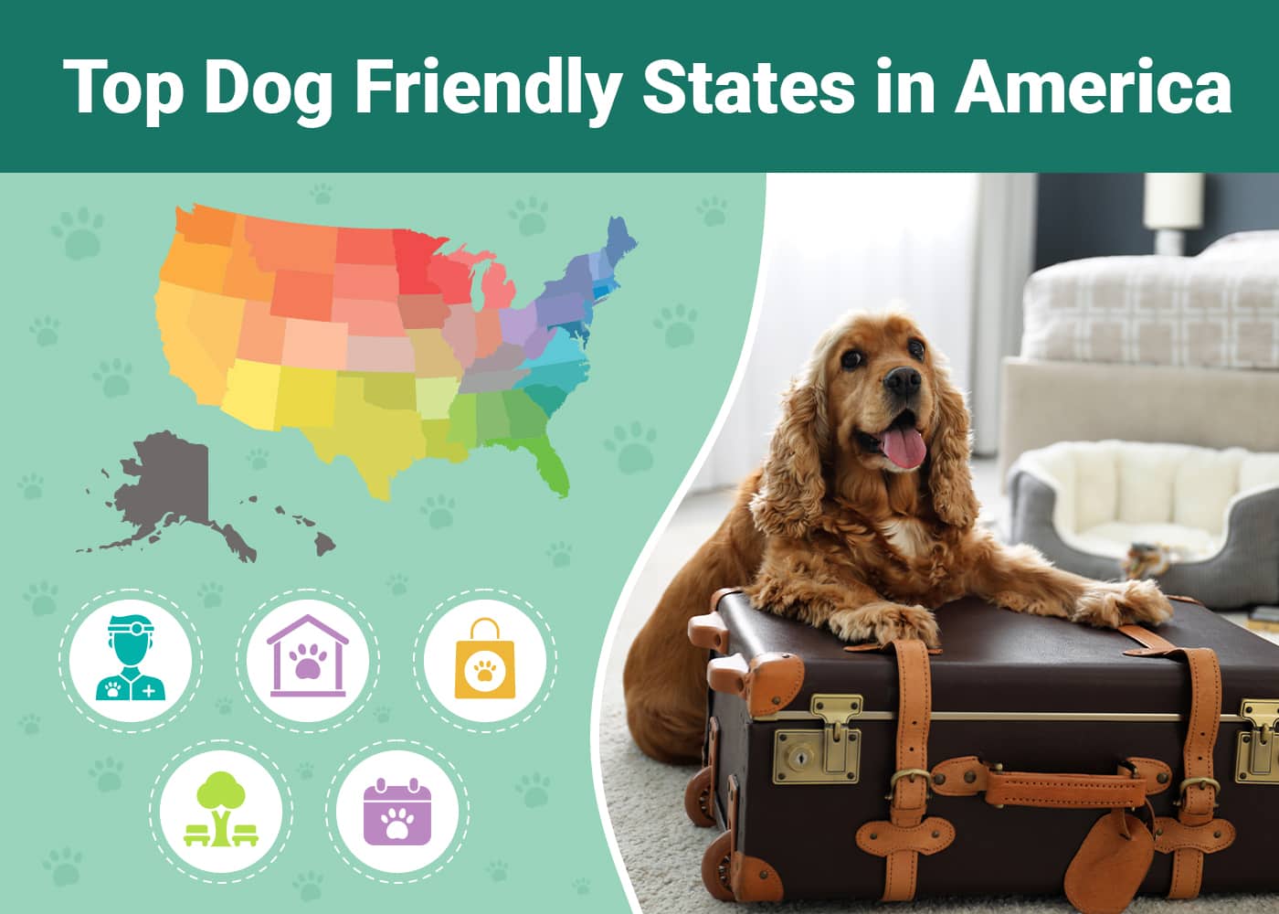 Most Dog Friendly States in America: All 50 Ranked in 2026