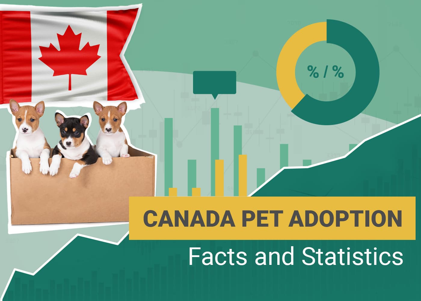 10 Canada Pet Adoption Statistics & Facts to Know in 2026