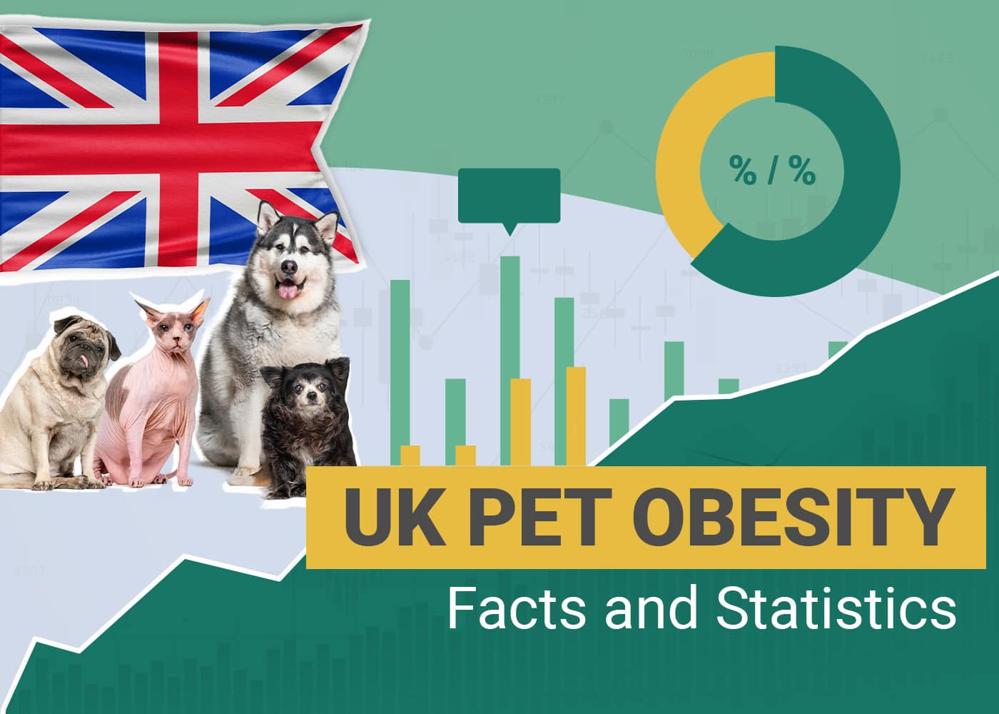 12 UK Pet Obesity Statistics & Facts to Know in 2026: Dogs, Cats, & Other Pets