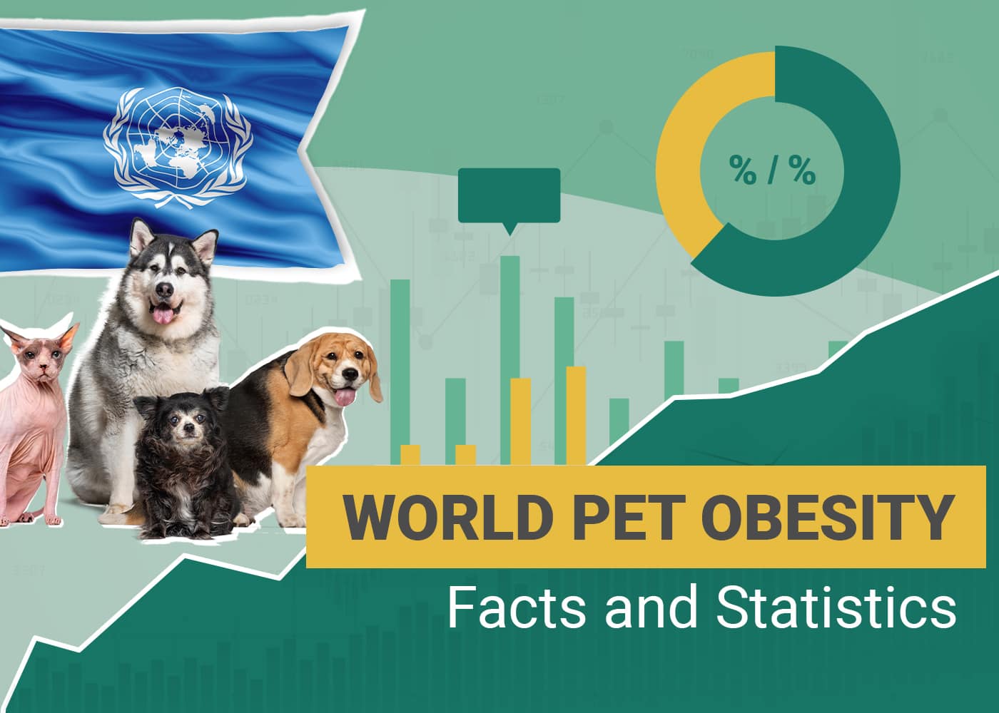 10 Pet Obesity Statistics Know in 2026: Dogs, Cats & Other Pets