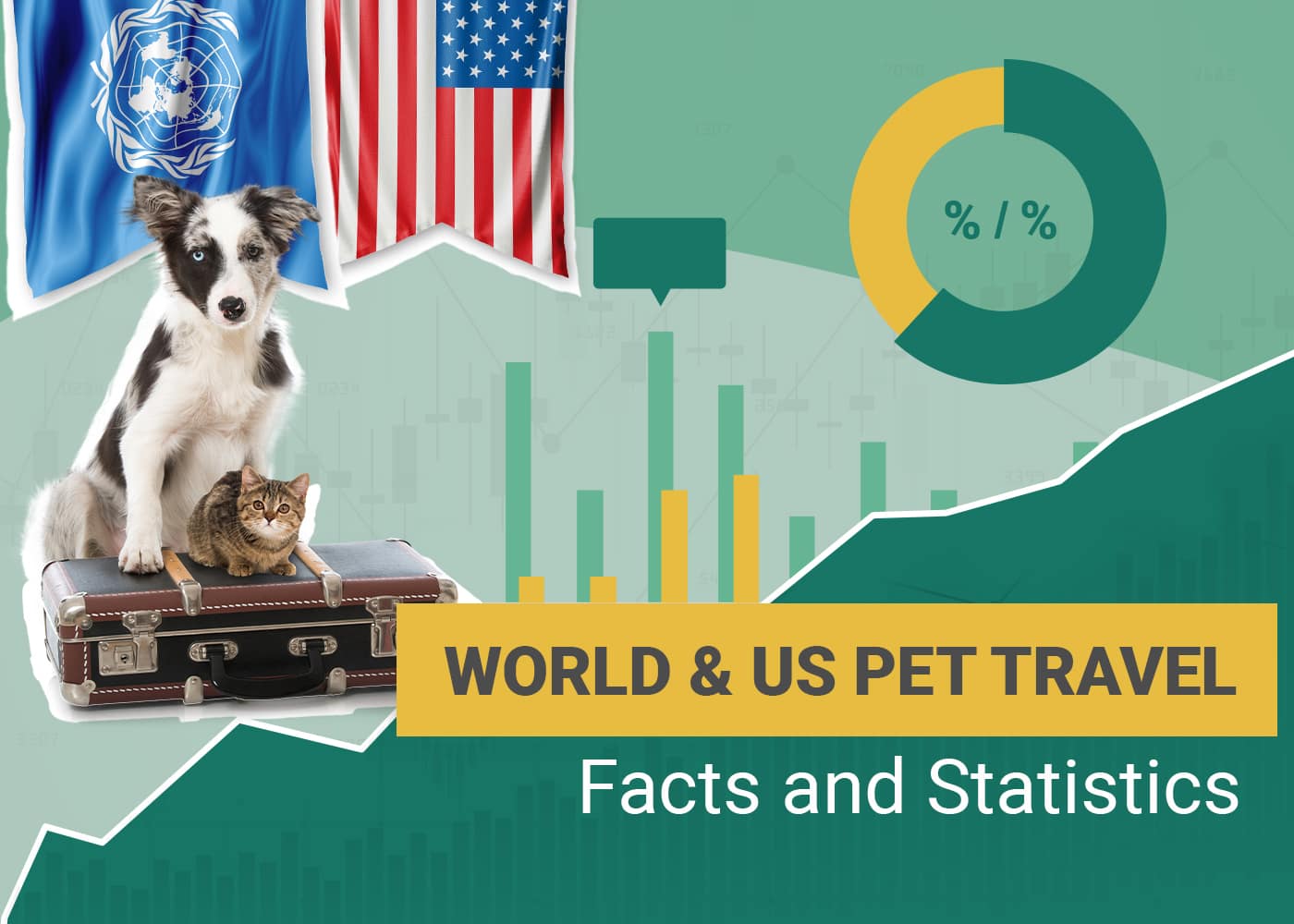 12 Interesting Pet Travel Statistics & Trends to Know: 2026 Update