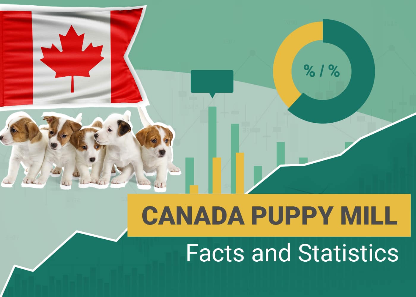 10 Heartbreaking Canadian Puppy Mill Statistics & Facts to Know in 2026