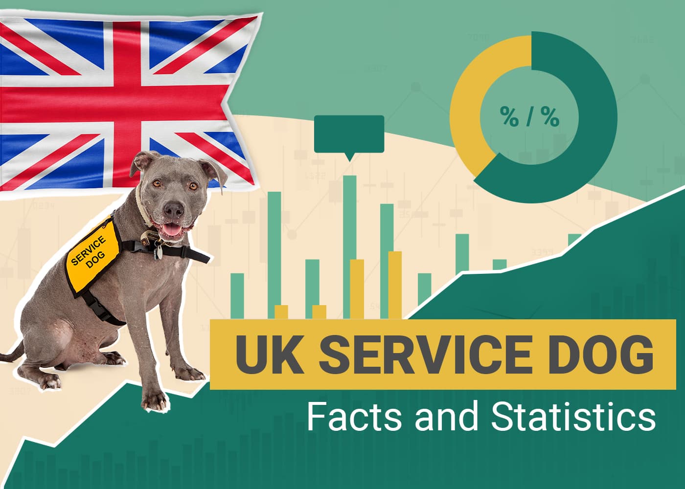 16 Remarkable UK Service Dog & Pet Therapy Statistics to Know in 2026