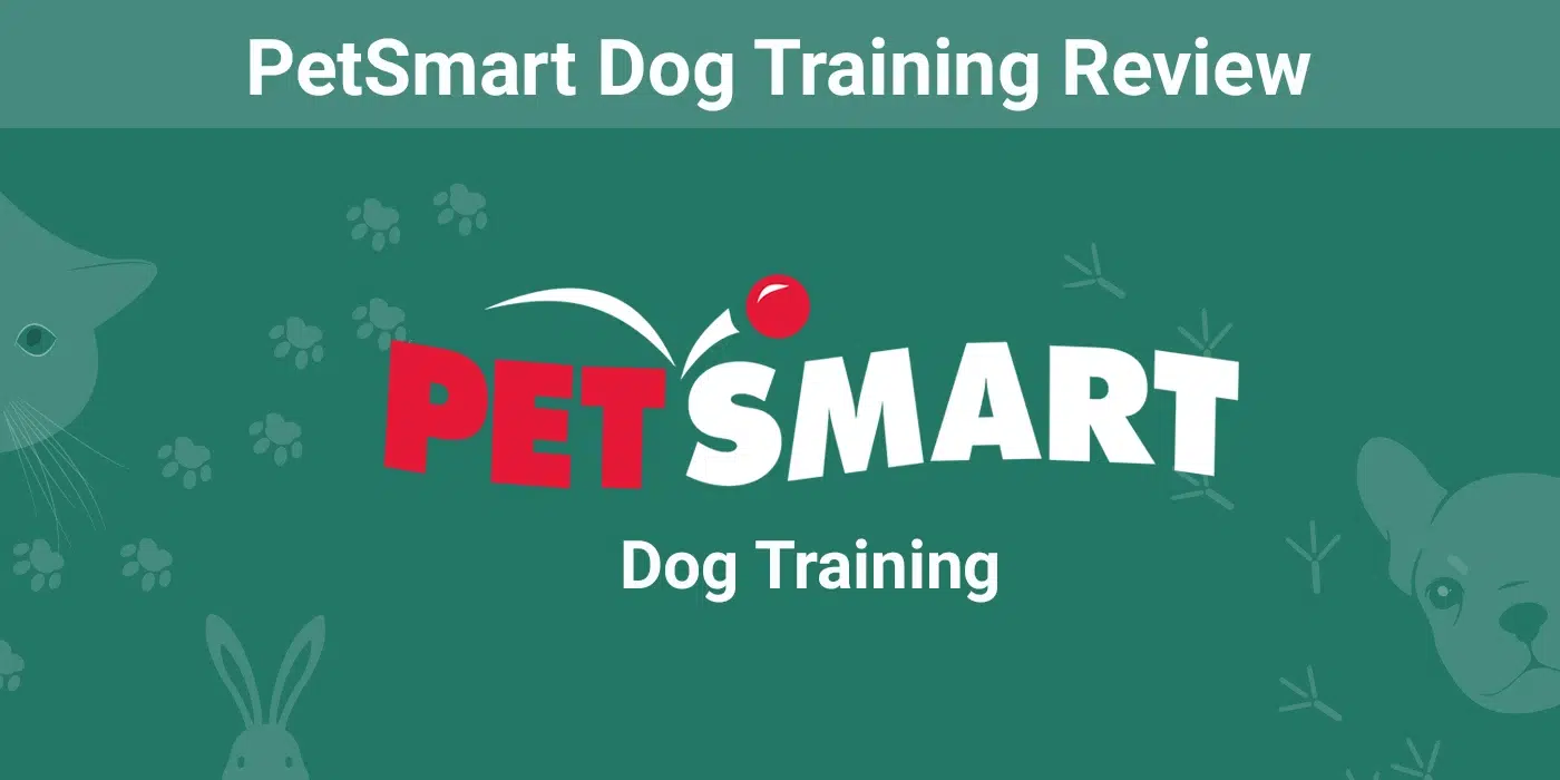 PetSmart Dog Training Review 2026: Costs, Effectiveness, and FAQs